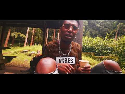"FREESTYLE" Weed-Faya x Santos480
