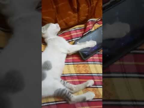 Anbu😻😘😘😘😘