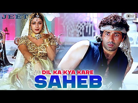 Dil Ka Kya Kare Saheb | Jeet |  Sunny Deol, Tabu | Kavita Krishnamurthy | 90's Hits