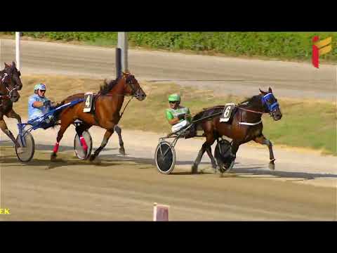 III corsa del 25 settembre 2022 - 4 Anni - Metri 1600