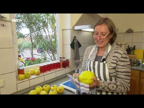Quitte -  die ganz besondere Frucht | SWR | Landesschau Rheinland-Pfalz