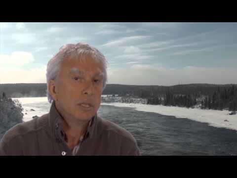 D'où viennent les bécasses