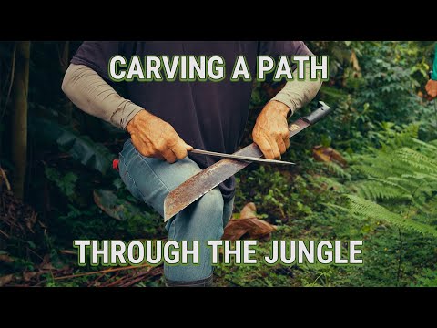 Carving a path through the jungle