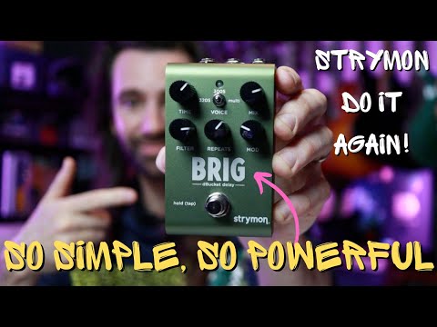 Strymon BRIG | Tones by Leon Todd