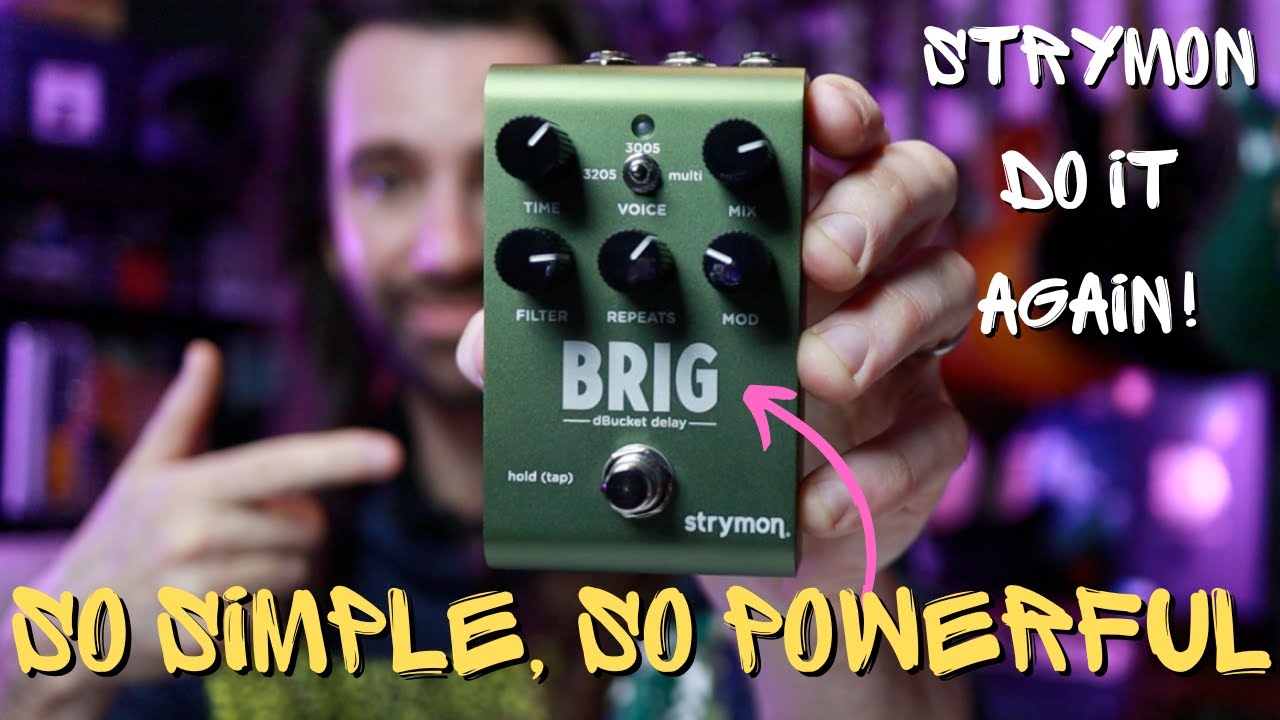 Brig dBucket Delay - Strymon Brig dBucket Delay - Strymon