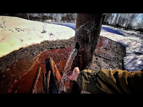 Поход на соленый источник или лечебная соленая вода от зеленых соплей)))