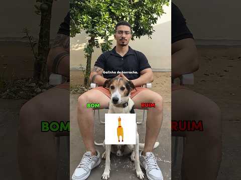 BRINQUEDO PARA CACHORRO BOM OU RUIM?