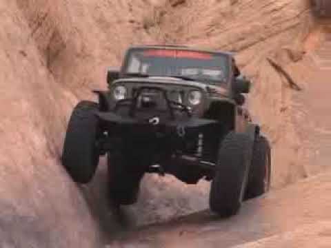 2009 WARN Video
