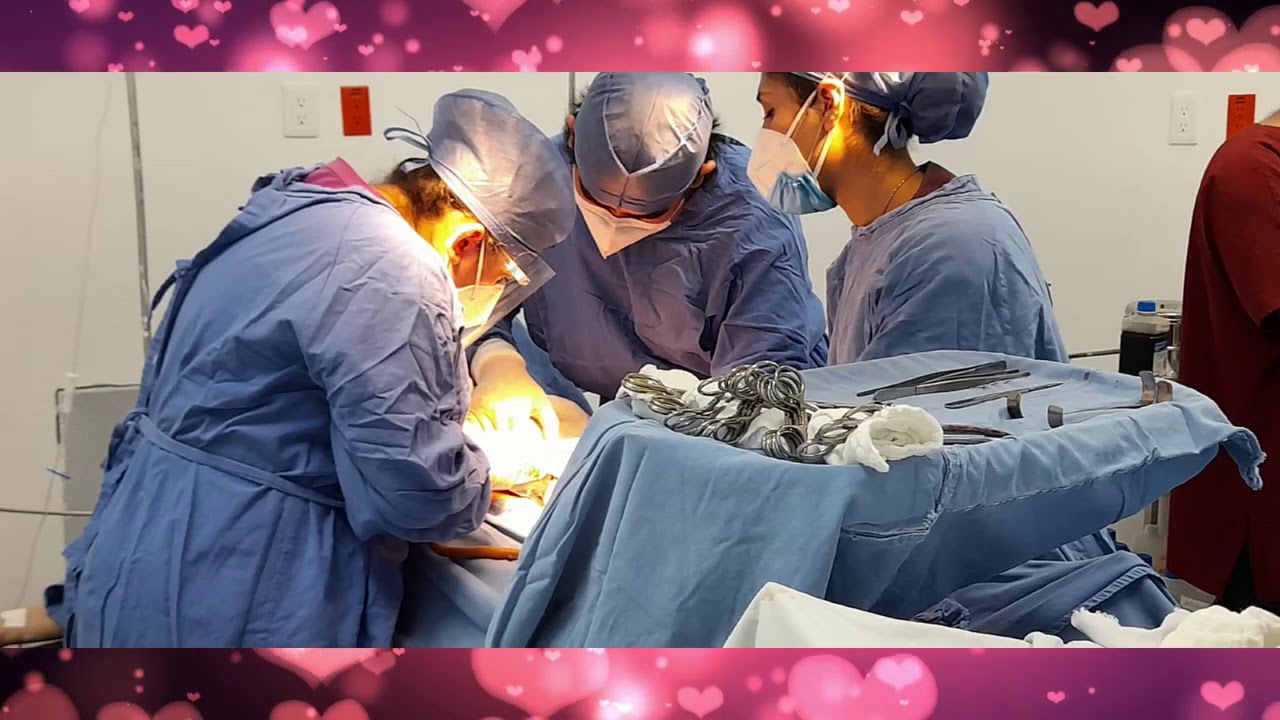 Elvia Dávila Macuil-7