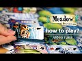 Meadow Downstream How To Play Board Game Rules