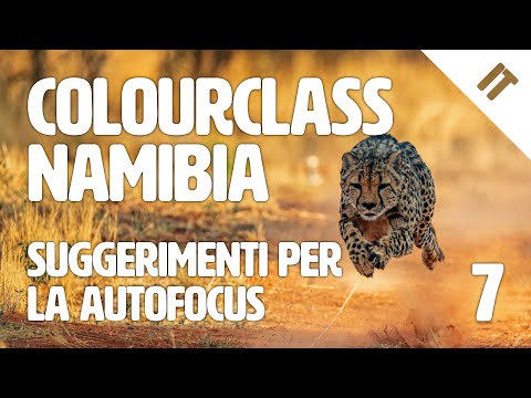 Colourclass Namibia: Settima puntata - Autofocus: suggerimenti per la fotografia in movimento