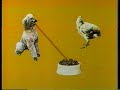 Sesame Street Draw A Line From The Dog To The Bowl