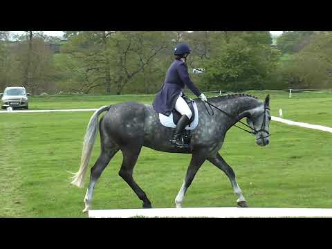 fei 2* B Chatsworth May19DR