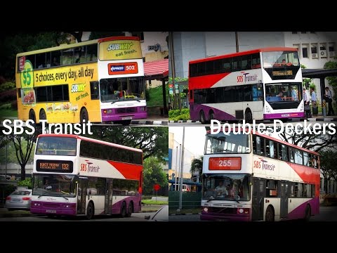 SBS Transit Double Decker Buses (Photo Showcase)