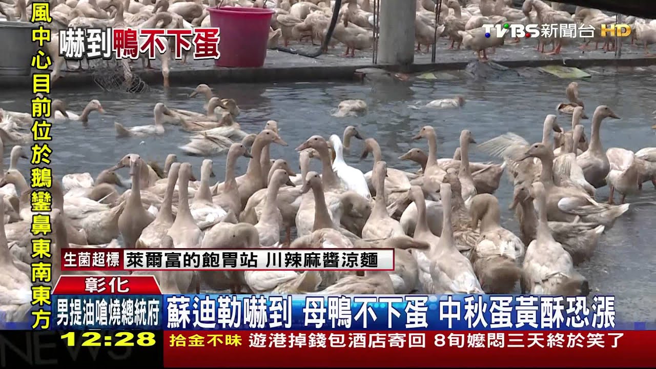蘇迪勒嚇到母鴨不下蛋 中秋蛋黃酥恐漲