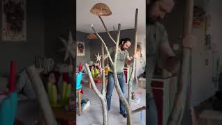 Quand les voisins nous ont vu sortir de l’ascenseur avec les troncs d’arbres   #chat  #c