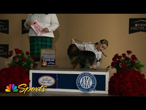 American Kennel Club junior handlers 'are our future' | NBC Sports - YouTube