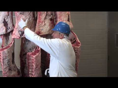 USDA Beef Quality Grading by Dan Hale