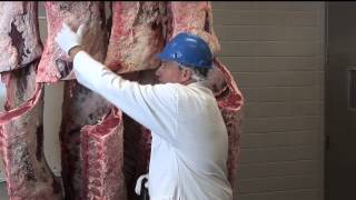 USDA Beef Quality Grading by Dan Hale