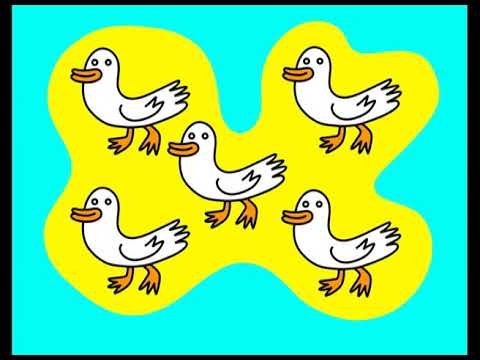 five white ducks