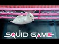 Hamster Mouse plays Squid Game and get out of the dramatic Squid Game’s maze | Hamster Life