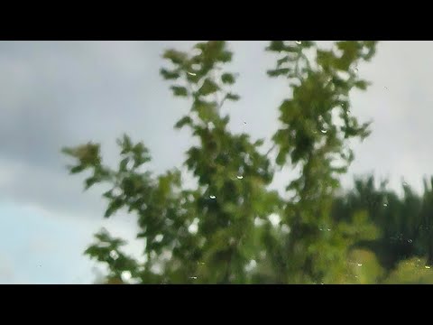 World's Strongest Engine 276 (Cheating edition)