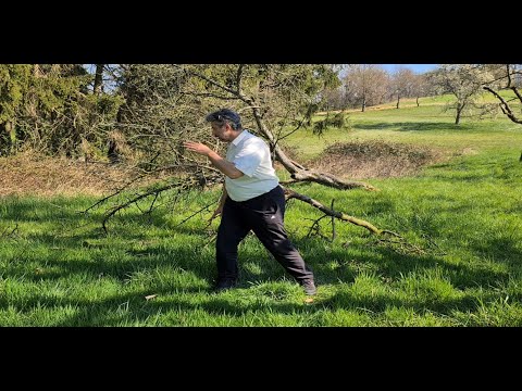 Tai Chi Wu-Stil Kurzform 11 - Übers Knie streifen