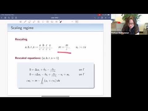 Seminar In the Analysis and Methods of PDE (SIAM PDE): Barbara Niethammer