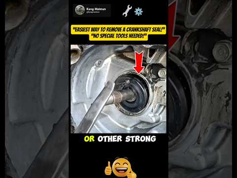 “Easiest Way to Remove a Crankshaft Seal – No Special Tools!”