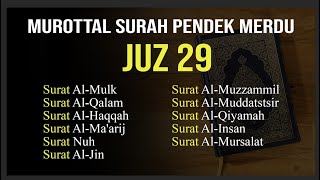 Download lagu Collection of Melodious Short Surahs Juz 29 mp3