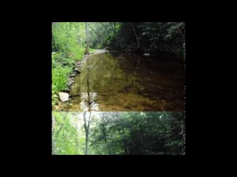 S. Carey - In the Stream (Dogwood Last Remix)