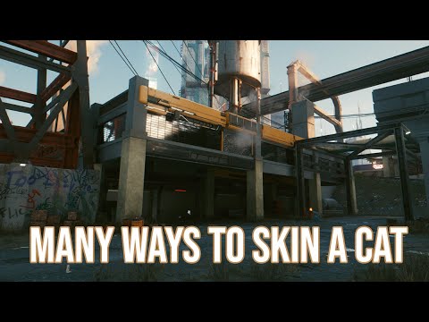 Many Ways to Skin a Cat mission walkthrough -  Cyberpunk 2077