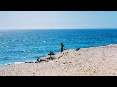 VARIEDADES DE PEIXES NA PRAIA DE IRACEMA FORTALEZA CE 