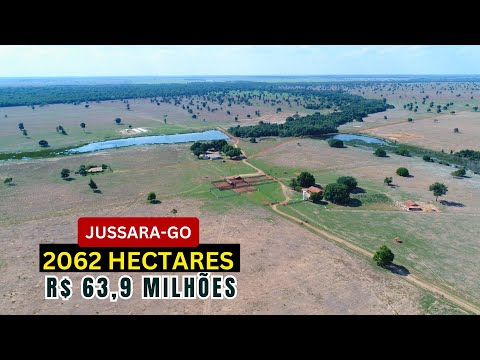 Fazenda com 2062 Hectares em Jussara GO/ Terra Vermelha, Água Abundante e Alto Potencial lucrativo