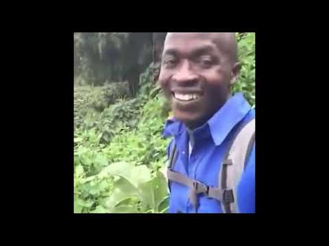 Lee Sin COMBOs You Should Put Into DNA!   ShenShan   CHINESE LEE SIN MONTAGE S11   League of Legends