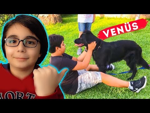 KÖPEK KONTROL CHALLENGE VLOG