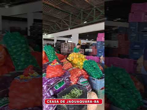 CEASA de Jaguaquara-Ba #agricultura