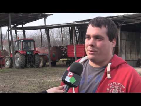 Pannon Gazda - 2016.02.12.