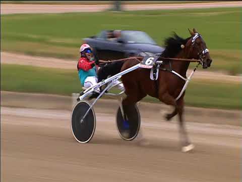 Trotto 01/05/2018 - 2ª corsa