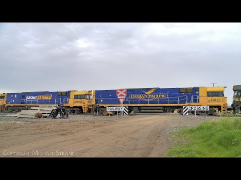 5 Diesel Locomotives On 3XM4 Pacific National Steel Train (21/9/2022) - PoathTV Australian Railways