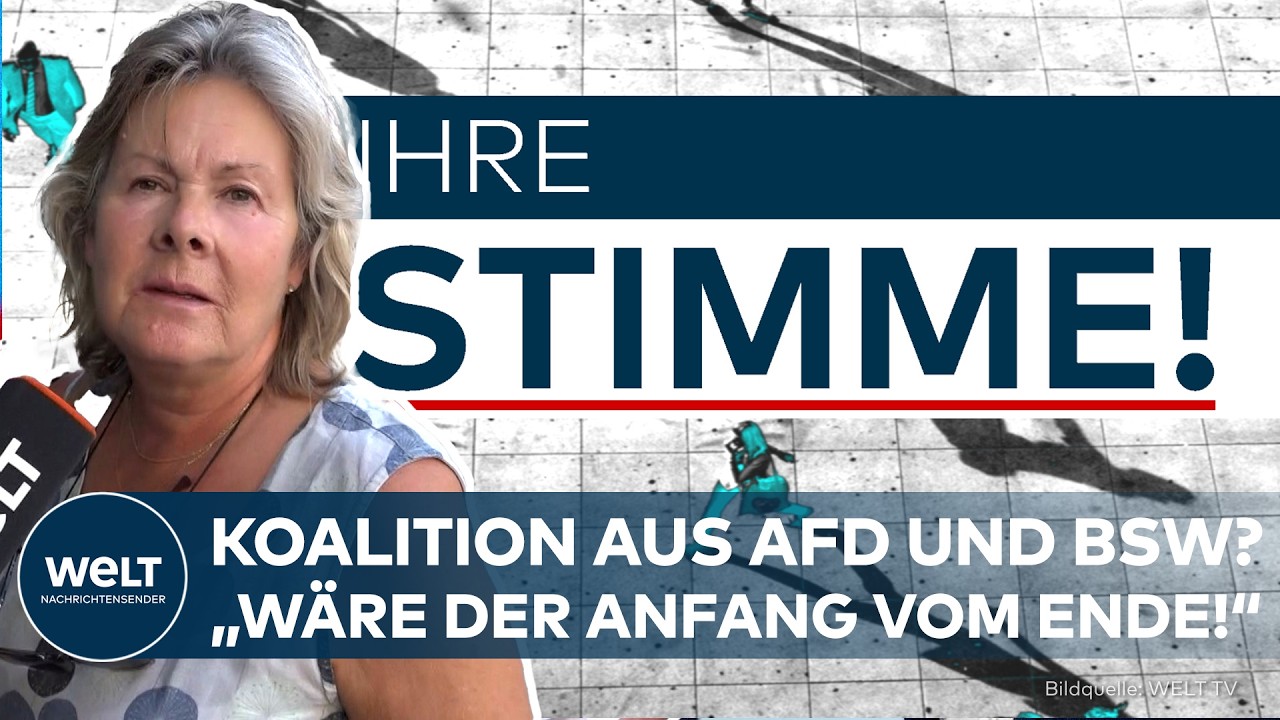 IHRE STIMME: "Die AfD sind Faschisten!" – Sollte das BSW auf Höckes Angebot eingehen?