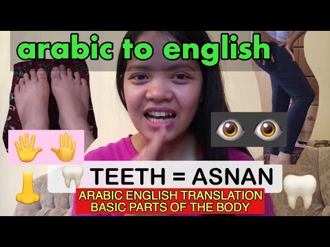 ENGLISH ARABIC TRANSLATION BASIC PARTS OF THE BODY