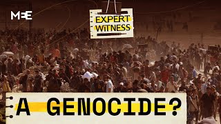 Video: Israel is committing Genocide, say top scholars | Expert Witness | Middle East Eye
