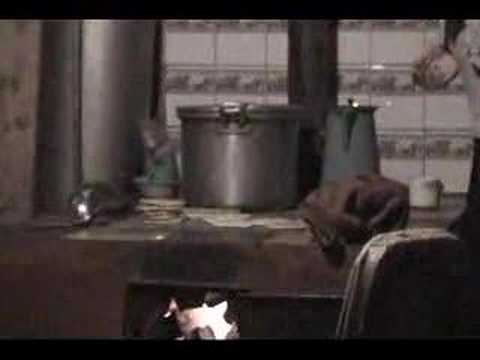 Bij de familie Oytiz in Guatemala