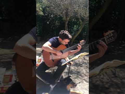 Lorenzo Nigro interpreta Bach Sarabande BWV996