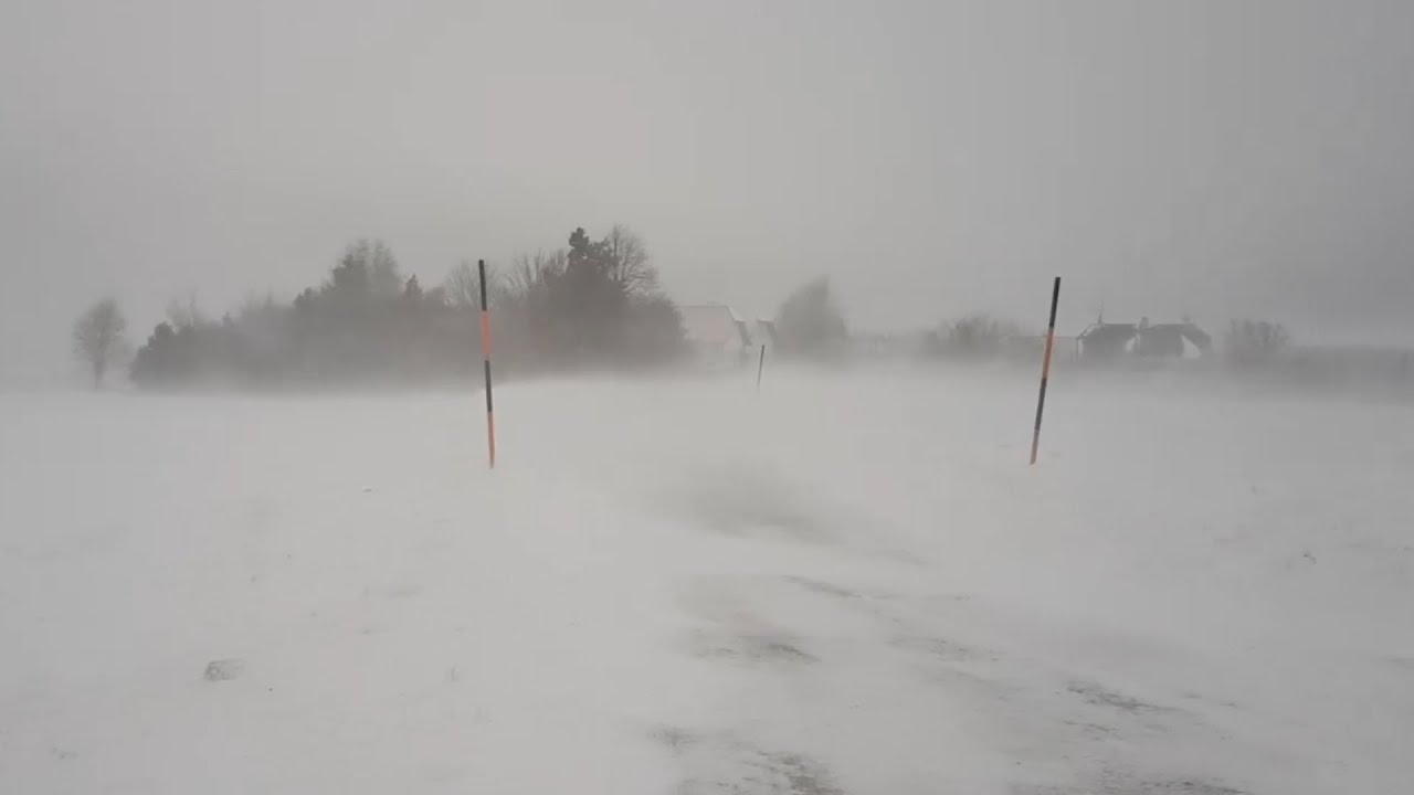 youtube video id=LhTPT7ZiPtg