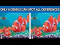 Spot The Differences Finding Nemo 2003