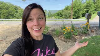 Planting Sedum | Grasses | Rudbeckia Near the New Hydrangea Hedge!!!