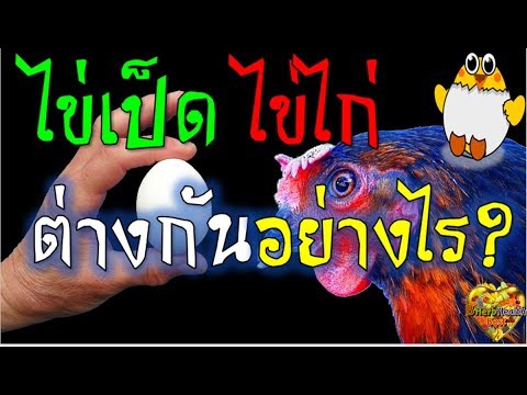 โรคสะเก็ดเงิน tar สะอาด โรคสะเก็ดเงินก้อน