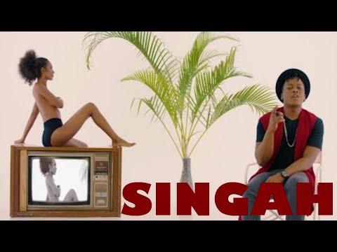 Singah Mix 2021 Vol. 1